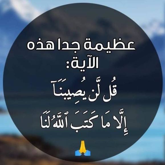 mariem_z